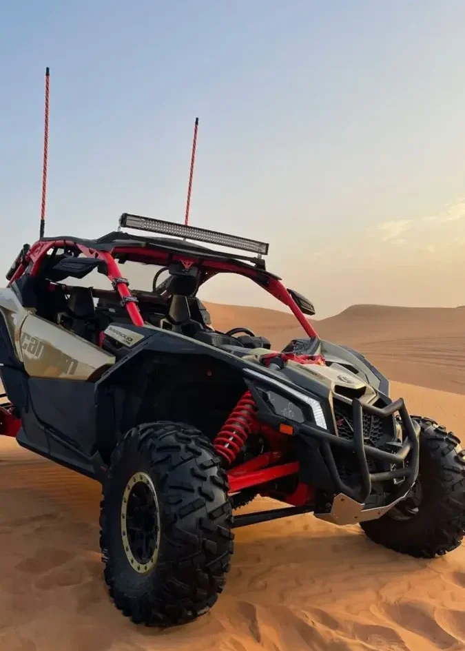 Buggy e1782303964477